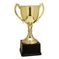 CZC-Series Gold Zinc Metal Cup 